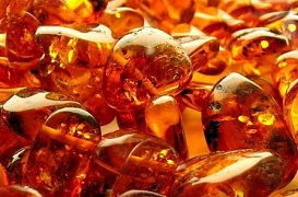 Amber acid